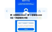 萝卜密聊投10000（萝卜密聊投10000元一天能赚多少钱）
