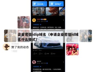 企业密信idip域名（申请企业密信id域名什么格式）