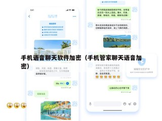 手机语音聊天软件加密（手机管家聊天语音加密）