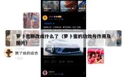 萝卜密聊改成什么了（萝卜蜜的功效与作用及图片）