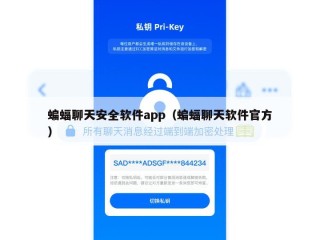 蝙蝠聊天安全软件app（蝙蝠聊天软件官方）