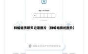 和蝙蝠侠聊天记录图片（和蝙蝠侠的图片）