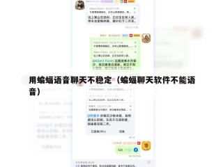 用蝙蝠语音聊天不稳定（蝙蝠聊天软件不能语音）