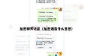 加密聊天语音（加密语音什么意思）
