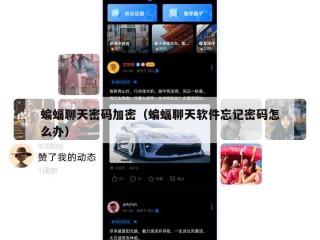 蝙蝠聊天密码加密（蝙蝠聊天软件忘记密码怎么办）