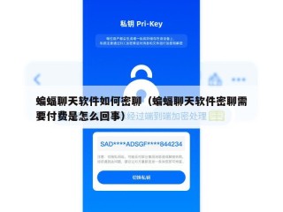 蝙蝠聊天软件如何密聊（蝙蝠聊天软件密聊需要付费是怎么回事）
