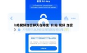 b站视频加密聊天在哪里（b站 视频 加密）