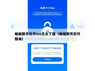 蝙蝠聊天软件ios怎么下载（蝙蝠聊天软件版本）