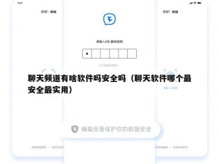 聊天频道有啥软件吗安全吗（聊天软件哪个最安全最实用）