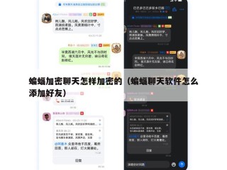 蝙蝠加密聊天怎样加密的（蝙蝠聊天软件怎么添加好友）