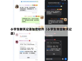 小学生聊天记录加密软件（小学生微信聊天记录）