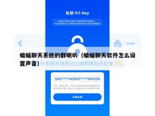 蝙蝠聊天系统的群喇叭（蝙蝠聊天软件怎么设置声音）