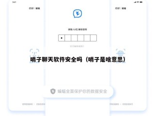 哨子聊天软件安全吗（哨子是啥意思）