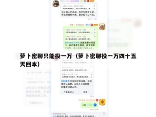 萝卜密聊只能投一万（萝卜密聊投一万四十五天回本）