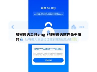 加密聊天工具sing（加密聊天软件是干嘛的）