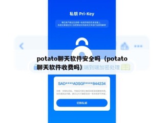 potato聊天软件安全吗（potato聊天软件收费吗）