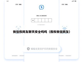 微信和网友聊天安全吗吗（我和微信网友）