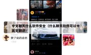 中文聊天什么软件安全（什么聊天软件可以中英文翻译）