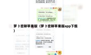 萝卜密聊苹果版（萝卜密聊苹果版app下载）