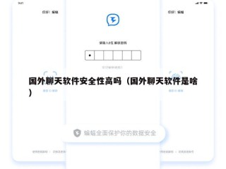 国外聊天软件安全性高吗（国外聊天软件是啥）