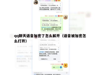 qq聊天语音加密了怎么解开（语音被加密怎么打开）