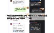 海鸥加密聊天软件为啥下载不了了（海鸥加密聊天软件为啥下载不了了呀）