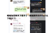 蝙蝠加密聊天下载不了（蝙蝠聊天软件为什么下载不了）