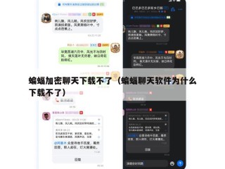 蝙蝠加密聊天下载不了（蝙蝠聊天软件为什么下载不了）