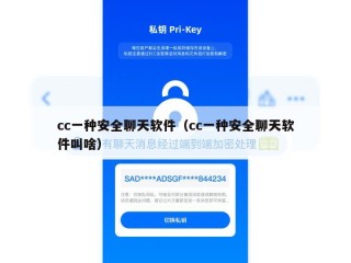 cc一种安全聊天软件（cc一种安全聊天软件叫啥）