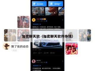 加密聊天软（加密聊天软件挣钱）
