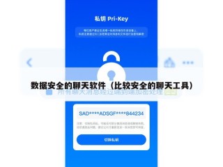数据安全的聊天软件（比较安全的聊天工具）