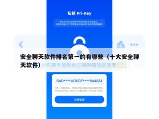 安全聊天软件排名第一的有哪些（十大安全聊天软件）
