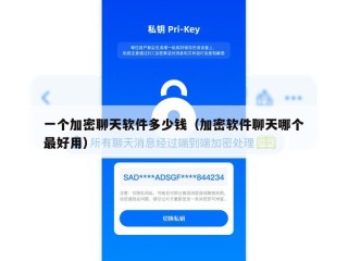 一个加密聊天软件多少钱（加密软件聊天哪个最好用）