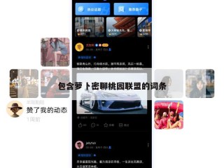 包含萝卜密聊桃园联盟的词条