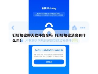 钉钉加密聊天软件安全吗（钉钉加密消息有什么用）