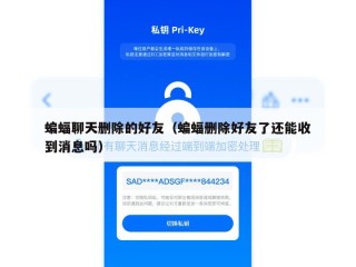 蝙蝠聊天删除的好友（蝙蝠删除好友了还能收到消息吗）
