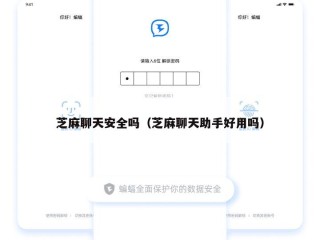芝麻聊天安全吗（芝麻聊天助手好用吗）