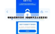 蝙蝠加密聊天你好（蝙蝠聊天怎么设置密语）