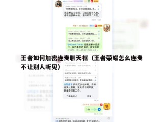 王者如何加密连麦聊天框（王者荣耀怎么连麦不让别人听见）