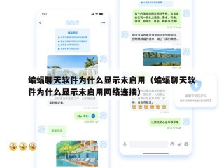 蝙蝠聊天软件为什么显示未启用（蝙蝠聊天软件为什么显示未启用网络连接）