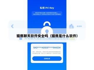 猎鹰聊天软件安全吗（猎鹰是什么软件）