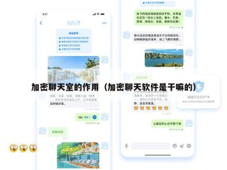 加密聊天室的作用（加密聊天软件是干嘛的）