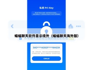 蝙蝠聊天软件显示境外（蝙蝠聊天海外版）