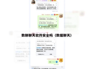 数聊聊天软件安全吗（数据聊天）