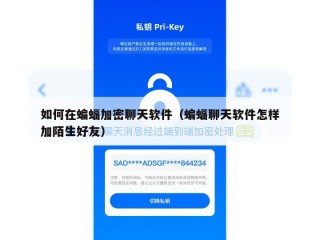 如何在蝙蝠加密聊天软件（蝙蝠聊天软件怎样加陌生好友）