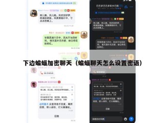 下边蝙蝠加密聊天（蝙蝠聊天怎么设置密语）