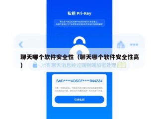 聊天哪个软件安全性（聊天哪个软件安全性高）