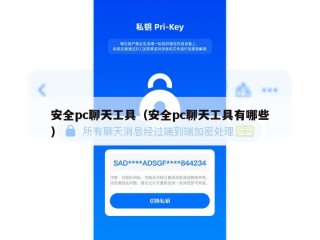安全pc聊天工具（安全pc聊天工具有哪些）