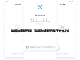 蝙蝠加密聊天是（蝙蝠加密聊天是干什么的）