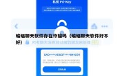 蝙蝠聊天软件存在诈骗吗（蝙蝠聊天软件好不好）